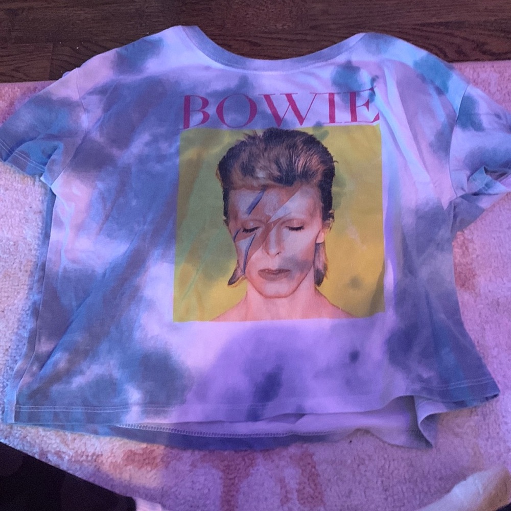 bowie crop top